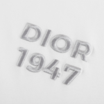 DIOR - Imagen 5