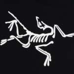 ARC'TERYX - Imagen 4