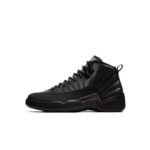Air Jordan 12- Black Anthracite