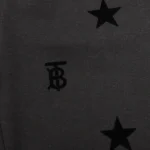 Burberry Shorts - Imagen 4