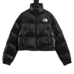 the-North Face Nuptse Short Black 2