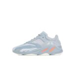 Yeezy Boost 700- Inertia